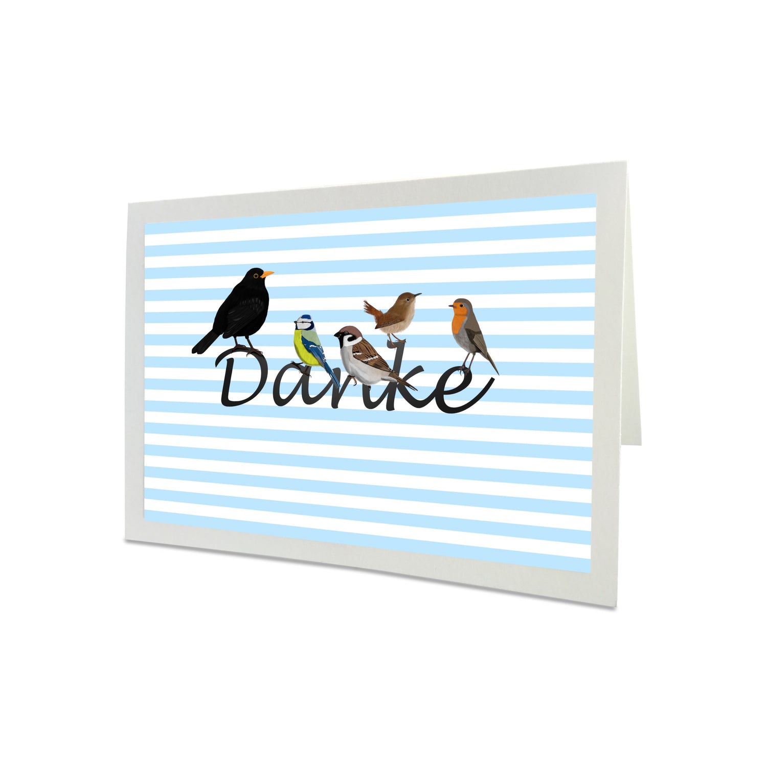 Gartenvögel Amsel Blaumeise Rotkehlchen Dankeskarte mit Umschlag Danksagungskarte mit Vogel