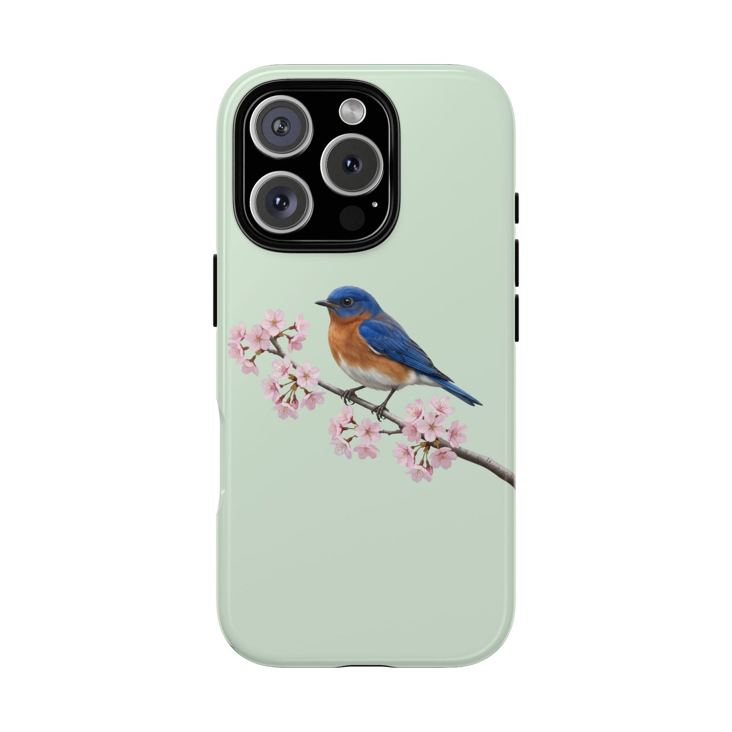 Rotkehl-Hüttensänger Handyhülle in Salbeigrün | Florales Kirschblüten Vogel-Motiv für iPhone & Google Pixel