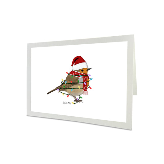 Weihnachtskarte Rotkehlchen als Weihnachtsmann Vogel Zeichnung Inklusive Umschlag