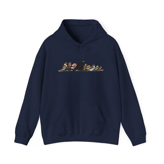 Vögel auf einem Ast Hoodie - Amsel Rotkehlchen Kohlmeise Stieglitz Kapuzenpullover für Vogelbeobachter & Naturliebhaber