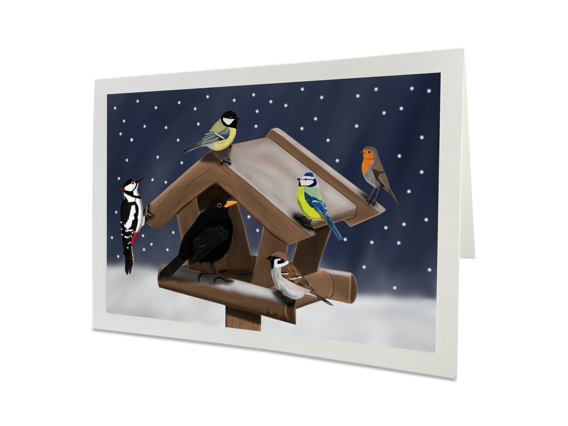 Weihnachtskarte Vogelhaus im Winter Amsel Rotkehlchen Blaumeise Vogel Zeichnung Frohe Weihnachten Inklusive Umschlag