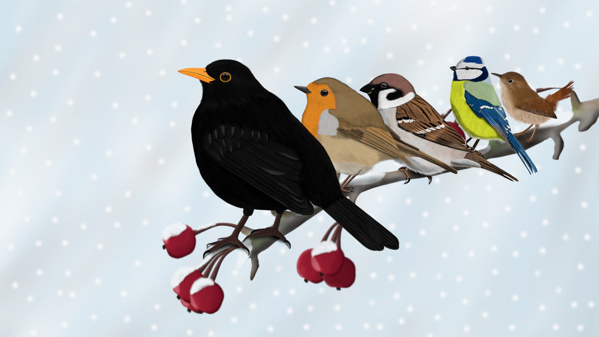 Eine Illustration mehrerer Vögel, die auf einem Ast mit roten Beeren sitzen – vor einem hellblauen, verschneiten Hintergrund. Zu den Vögeln gehören eine Amsel, ein Rotkehlchen, ein Haussperling, eine Blaumeise und ein Zaunkönig im Format 16:9.