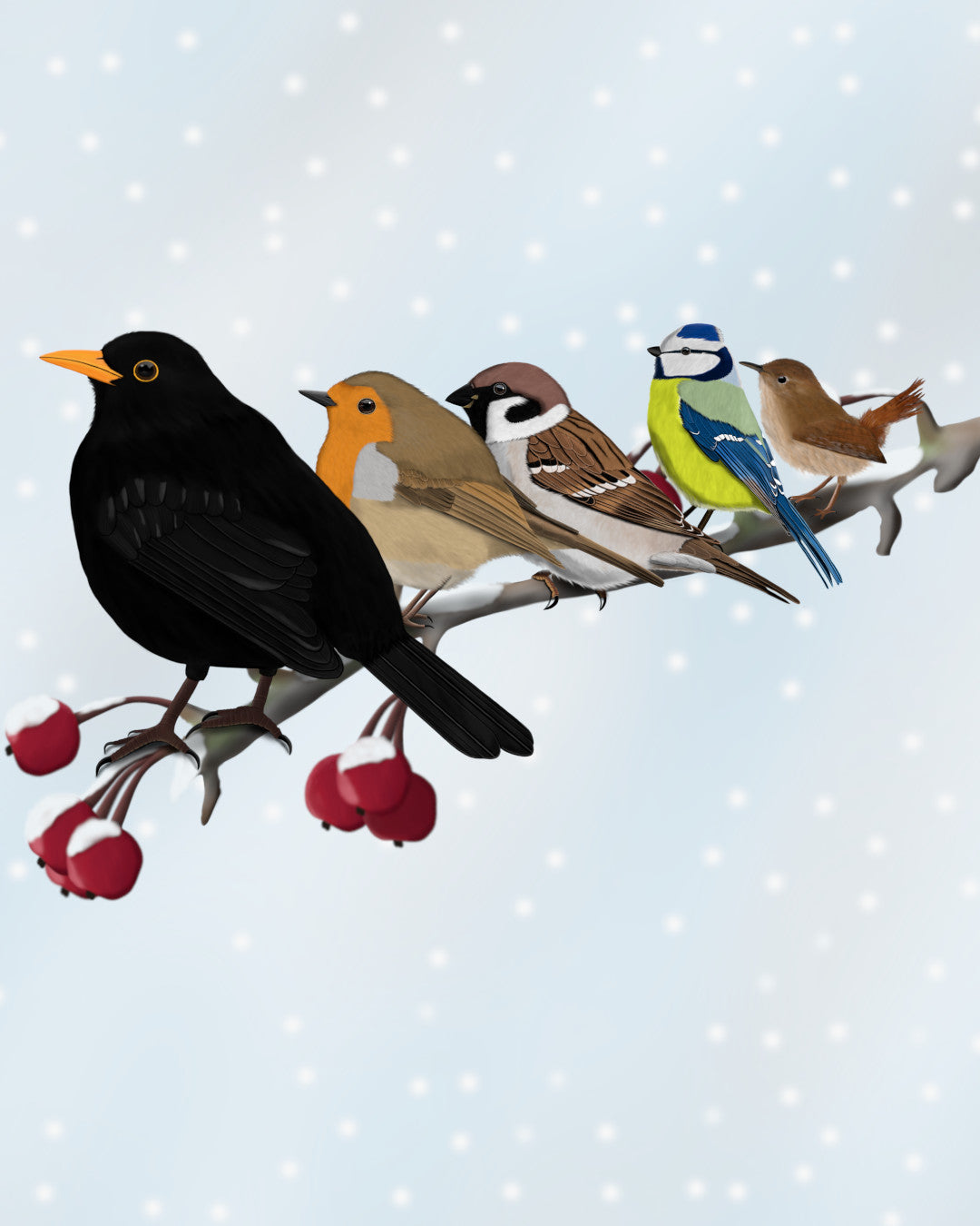Eine Illustration mehrerer Vögel, die auf einem Ast mit roten Beeren sitzen – vor einem hellblauen, verschneiten Hintergrund. Zu den Vögeln gehören eine Amsel, ein Rotkehlchen, ein Haussperling, eine Blaumeise und ein Zaunkönig im Format 4:5.
