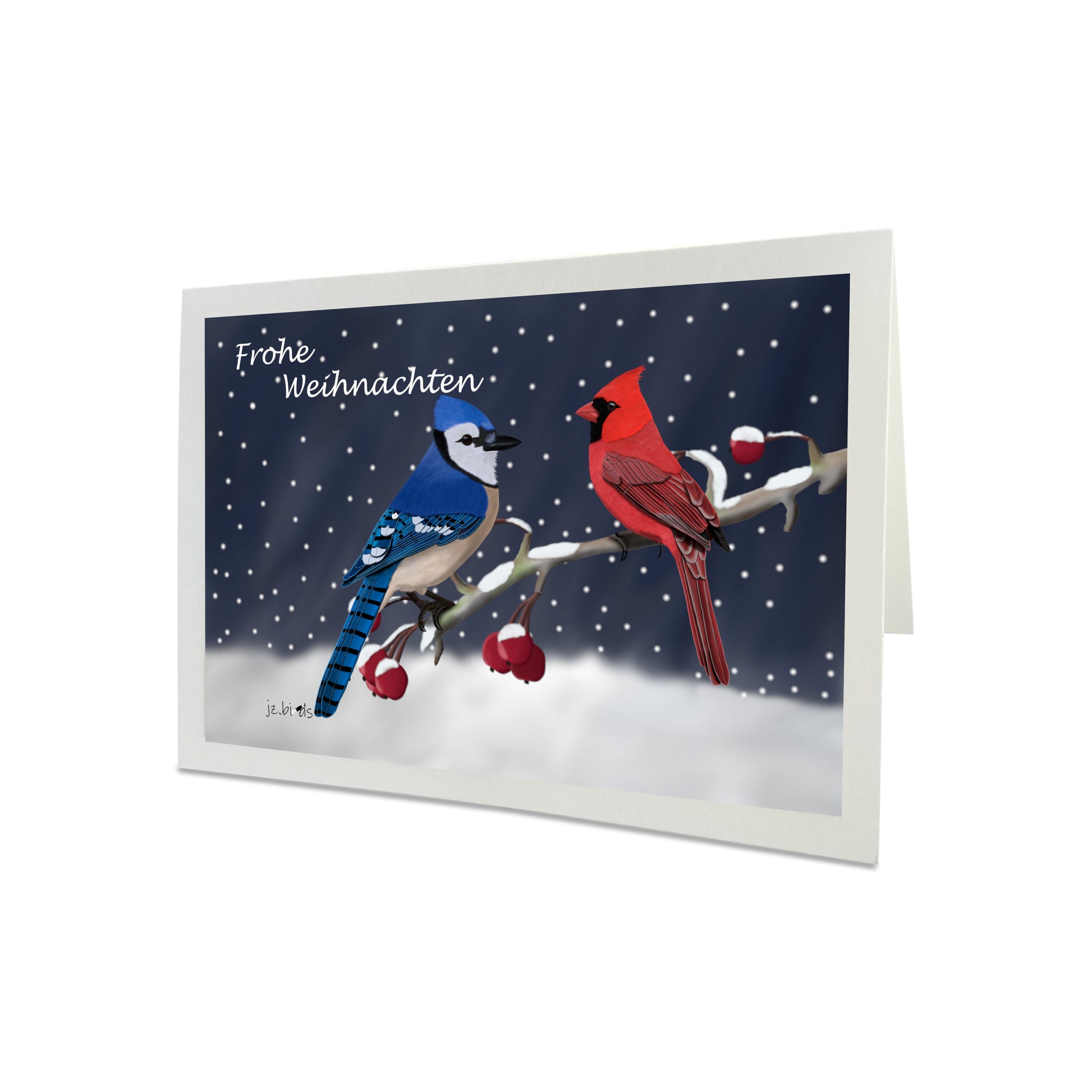 Weihnachtskarte Blue Jay und Cardinal im Schnee Vogel Zeichnung Frohe Weihnachten Inklusive Umschlag