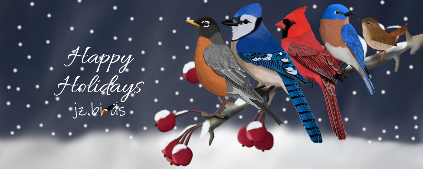 Holiday & Winter Magic: Unique Christmas Gifts for Bird Lovers