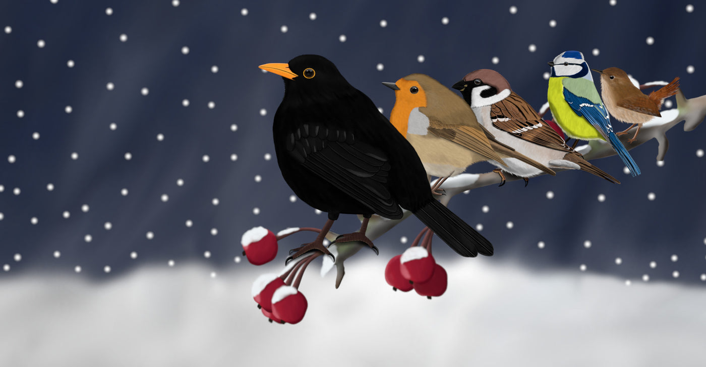 Weihnachten & Winterzauber: Besondere Geschenke für Vogelfreunde